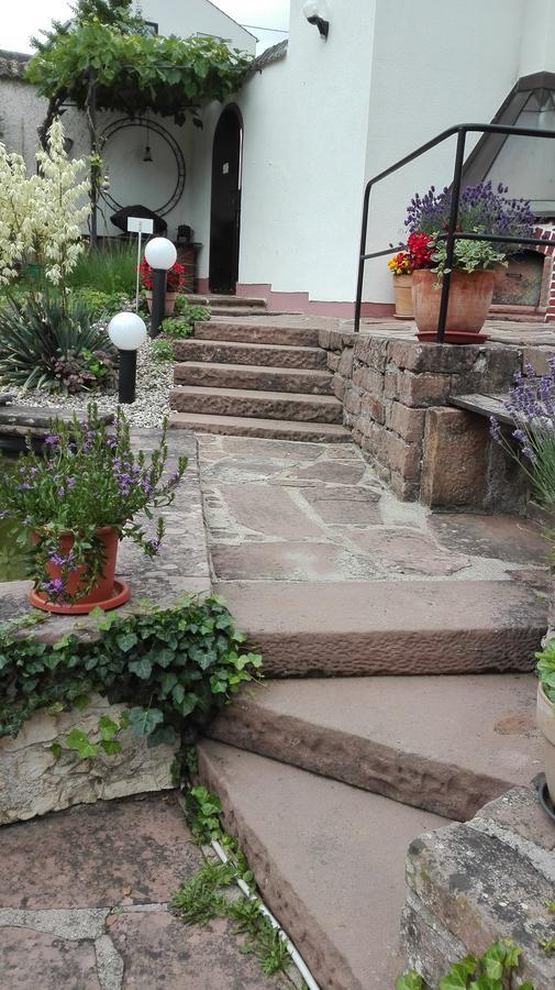 Ferienwohnung Belle Vue Bernkastel-Kues Esterno foto